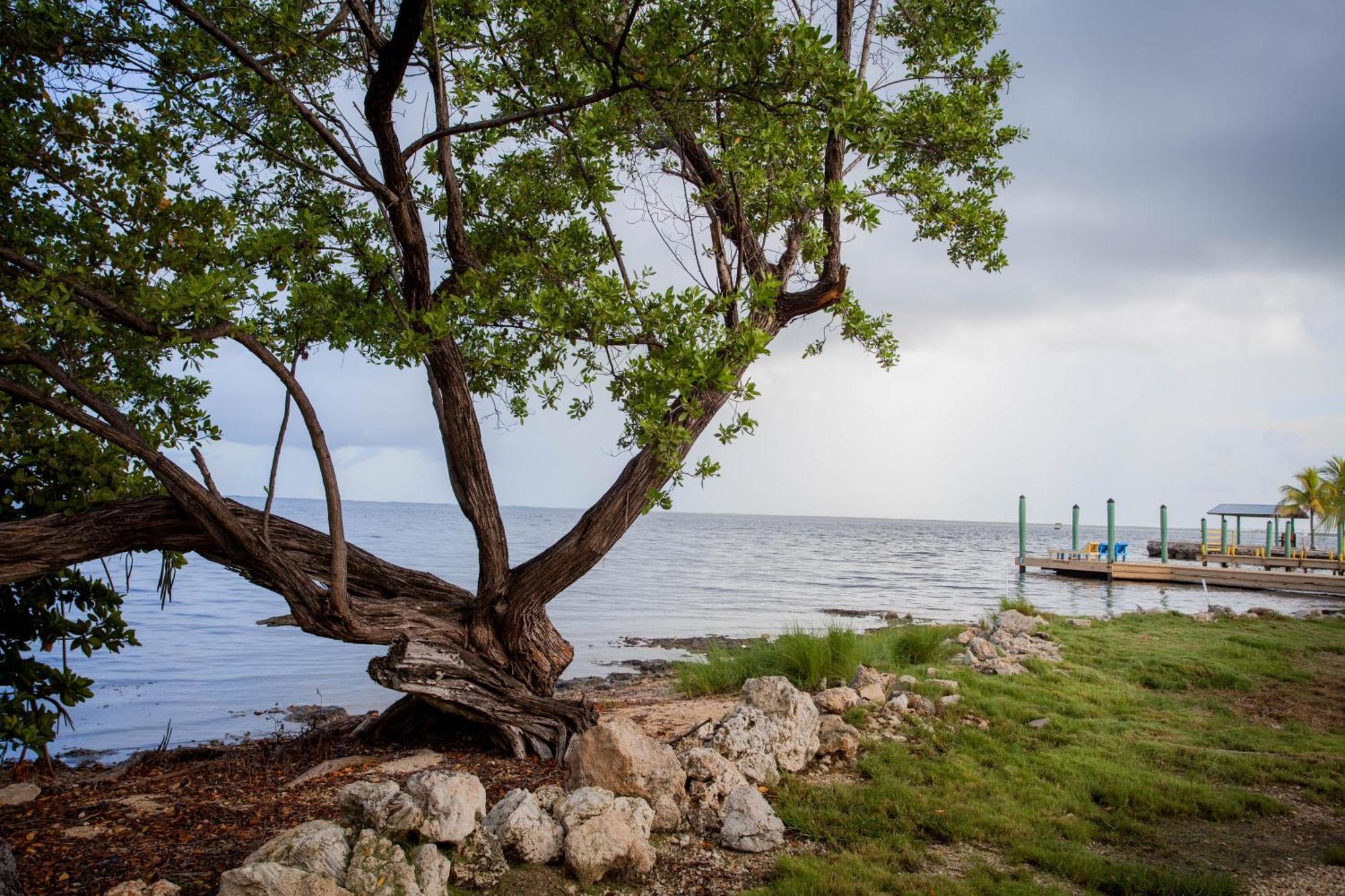 Hotel Kings Kamp Key Largo Exterior foto